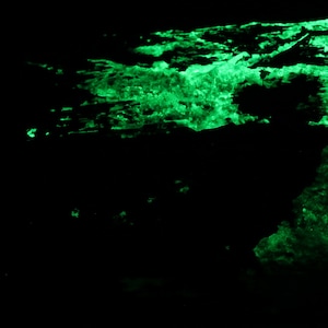May include: A close-up of a green, glowing, abstract shape against a black background. The shape is made up of many small, bright green dots and lines, creating a textured and organic look.