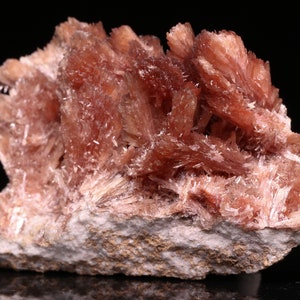May include: A cluster of pink and white crystals with a rough, natural texture. The crystals are arranged in a delicate, feathery pattern.