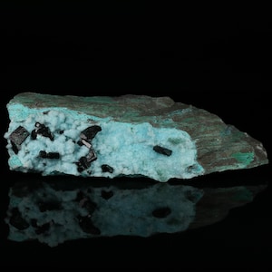 Peut inclure: Gros plan sur un spécimen minéral. Le centre est turquoise avec des cristaux noirs, entouré d'un extérieur vert foncé et brun. La surface est réfléchissante, révélant les textures et les couleurs de la roche.