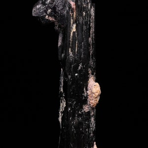 May include: A black tourmaline crystal with a rough, natural texture. The crystal is long and slender, with a pointed tip. It has a dark, opaque colour and a slightly metallic sheen.