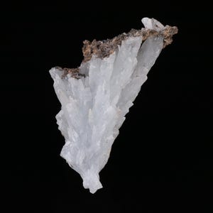 May include: A cluster of translucent, pale white, elongated crystalline structures radiating outward from a dark, textured, earthy brown matrix base. The mineral specimen features sharp, pointed terminations and a jagged, fan-like formation.