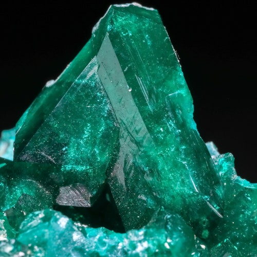 Dioptase on buying Matrix, Koakoveld, Namibia