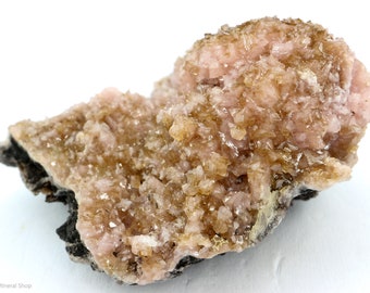 May include: A cluster of pink and brown calcite crystals on a dark gray matrix. The crystals are translucent and have a glassy luster.