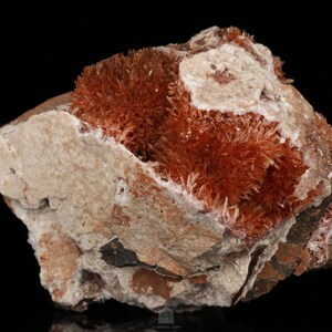 May include: A cluster of orange-brown crystals on a gray and white rock. The crystals are arranged in a dense, brush-like formation.