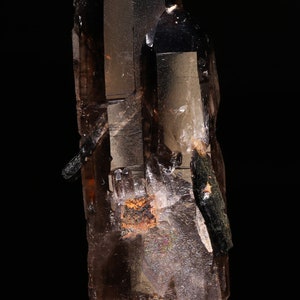 Small Cab Epididymite, Aegirine in Smokey Quartz, Zomba Mnt, Malawi