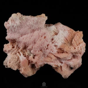 May include: A cluster of pink and white fibrous crystals, resembling a coral formation. The crystals are delicate and have a soft, feathery texture.