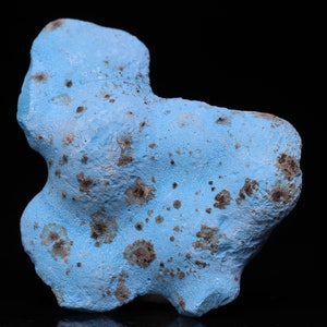 Miniature Shattuckite Cluste, Tantara Mine, Congo