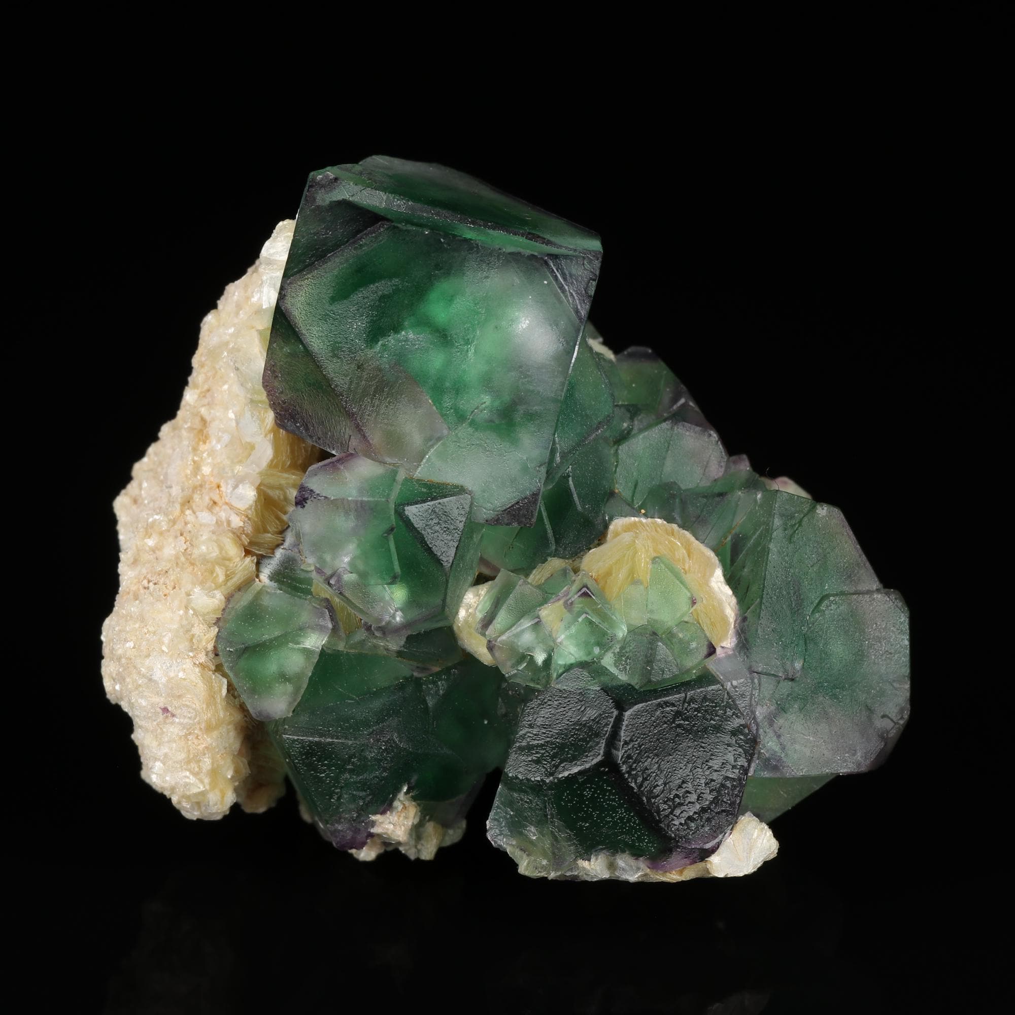 Alien eye fluorite - Etsy 日本