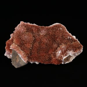 Pode incluir: Um espécime mineral marrom-avermelhado com uma textura espinhosa semelhante a cristais. O mineral tem uma base marrom escuro com uma borda mais clara, quase branca. O fundo é preto sólido.
