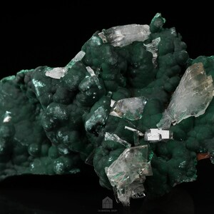NEW PRODUCTION! Baryte on Malachite Cabinet Cluster, Shinkolobwe Mine, Katanga, DR Congo