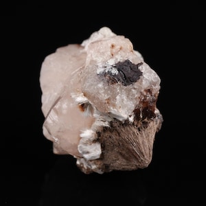 May include: A close-up of a mineral specimen with a light pink and white crystalline structure. The mineral has a dark brown, textured base and a small, dark gray inclusion. The background is black.