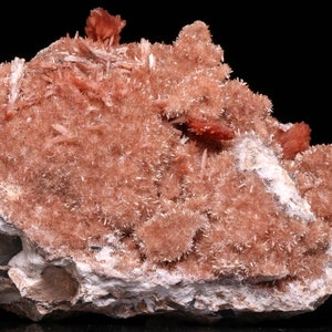 May include: A cluster of delicate, peach-colored crystals on a rough, gray rock. The crystals are arranged in a dense, fluffy formation, creating a visually appealing contrast with the rock.