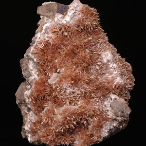 May include: A cluster of brown and white crystals on a rock. The crystals are long and thin, and they are arranged in a dense, spiky formation.