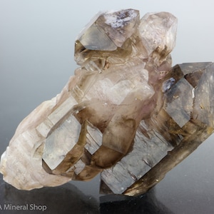 Smokey Quartz Scepter Cluster, Chibuku Mine, Chiredzi Prov, Zimbabwe