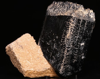 Tourmaline on Feldspar Crystal, Erongo Mnt Region, Namibia