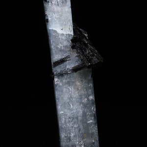 以下が含まれることがあります： 透明な薄い青色のアクアマリンの結晶と、それに付着した黒いトルマリンの結晶。結晶は黒い背景の上に置かれています。