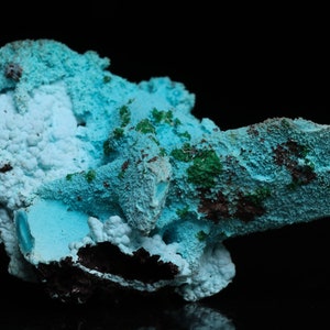 Chrysocolla Psm Azurite Miniature Cluster, Lupoto Mine, Katanga, DRC