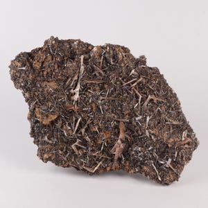 May include: A dark brown rock formation with a rough, uneven surface. It is covered with numerous thin, needle-like crystals in shades of white and tan. The crystals are densely packed, giving the rock a textured appearance.