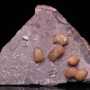 Könnte beinhalten: Eine Gruppe von hellbraunen, durchscheinenden Kristallen auf einem dunkelgrauen Gestein. Die Kristalle haben eine scharfe, geometrische Form.