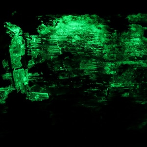 May include: A close-up of a green, textured surface with a dark background. The surface has a rough, uneven texture and appears to be made of wood or bark.