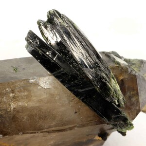 Aegerine on Double Terminated Smokey Quartz, Zomba Mnt, Malawi