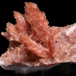 Pode incluir: Um aglomerado de delicados cristais rosa-laranja em uma rocha branca áspera. Os cristais são longos e finos, com uma textura de pena.