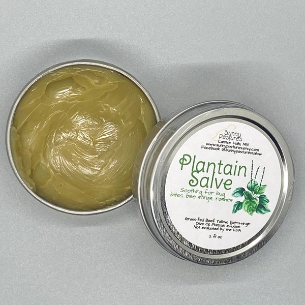 Tallow Herbal Salve