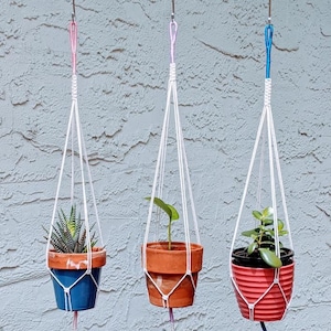 May include: Three macrame plant hangers with different colored cords hanging from a wooden branch. The hangers are holding terracotta pots with various plants.