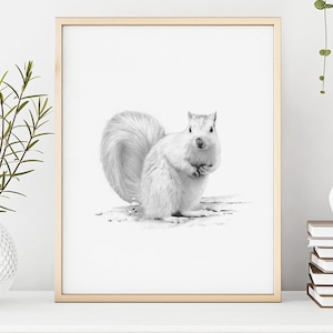 White Squirrel - Art Print