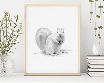 White Squirrel - Art Print