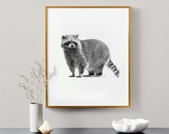 Raccoon - Art Print