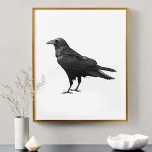 Raven - Art Print