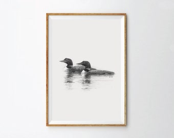May include: A black and white pencil drawing of two common loons swimming in a lake. The loons are facing different directions, with one loon's head turned towards the viewer. The drawing is framed in a light wood frame.