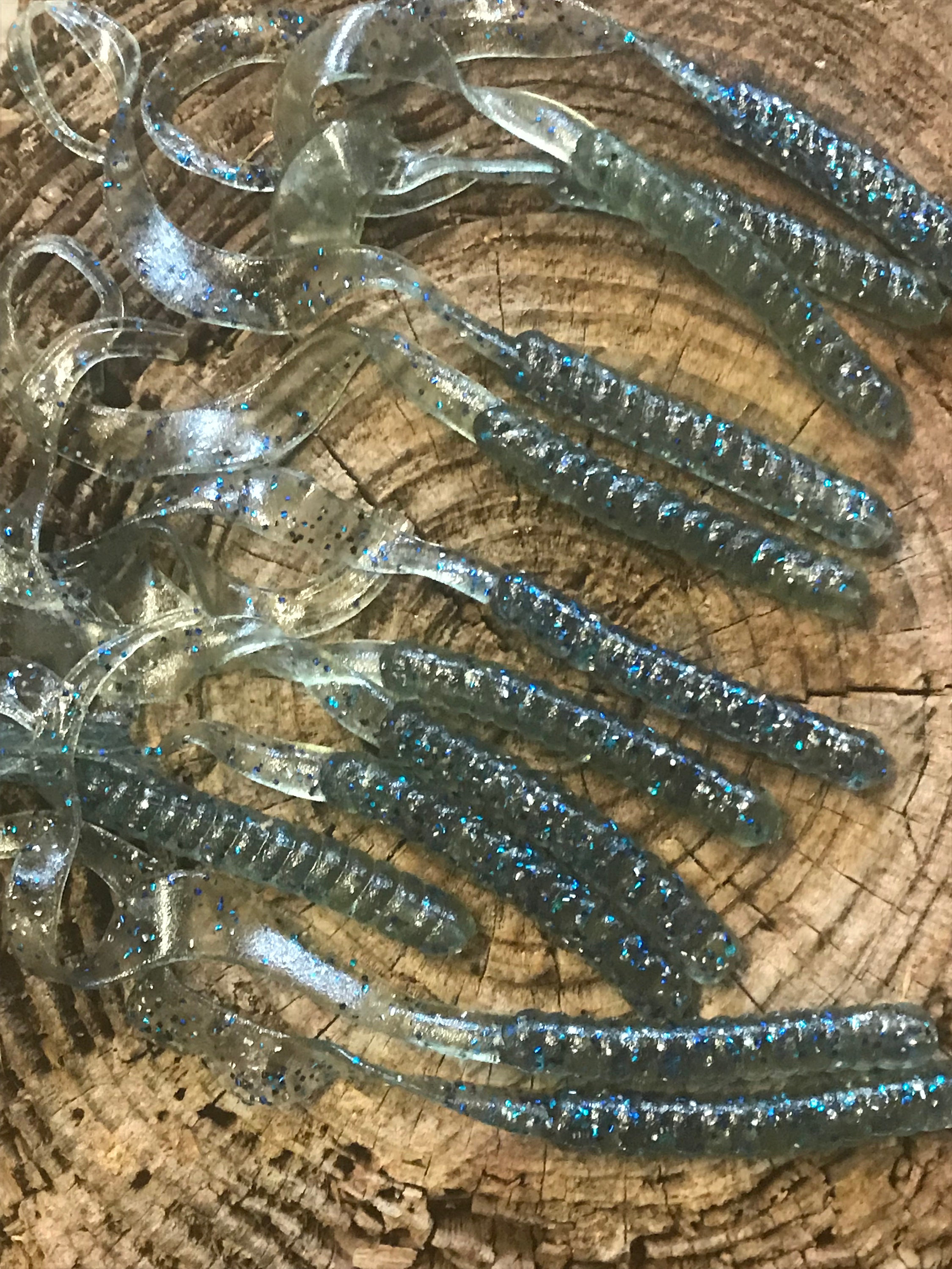 7 Ribbon Worm