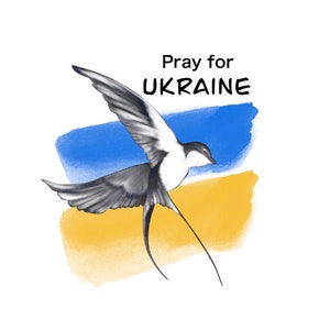 Ukrainische Flagge Png | Betet für die Ukraine | Bete für Frieden | Stehen Sie mit der Ukraine | Ukrainische Kunst | Blau und Gelb