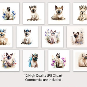 Siamese kittens met bloemen, kat met kroon, Siamese kittens in wilde bloemen clipart 12 hoge kwaliteit JPG, aquarel, sublimatie ontwerp