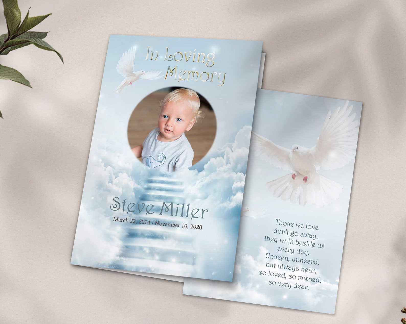 Child or Baby Funeral Program Template Dove in Sky Program Etsy