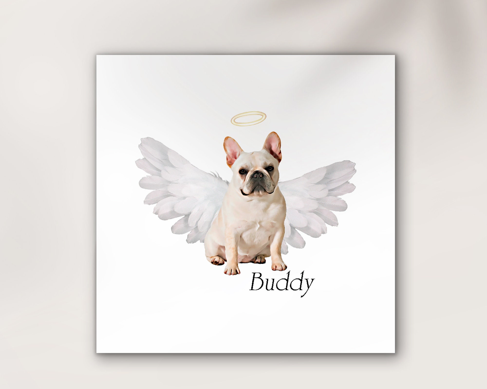 REETOOK Coperta con bulldog francese, morbida e calda, regalo unico per