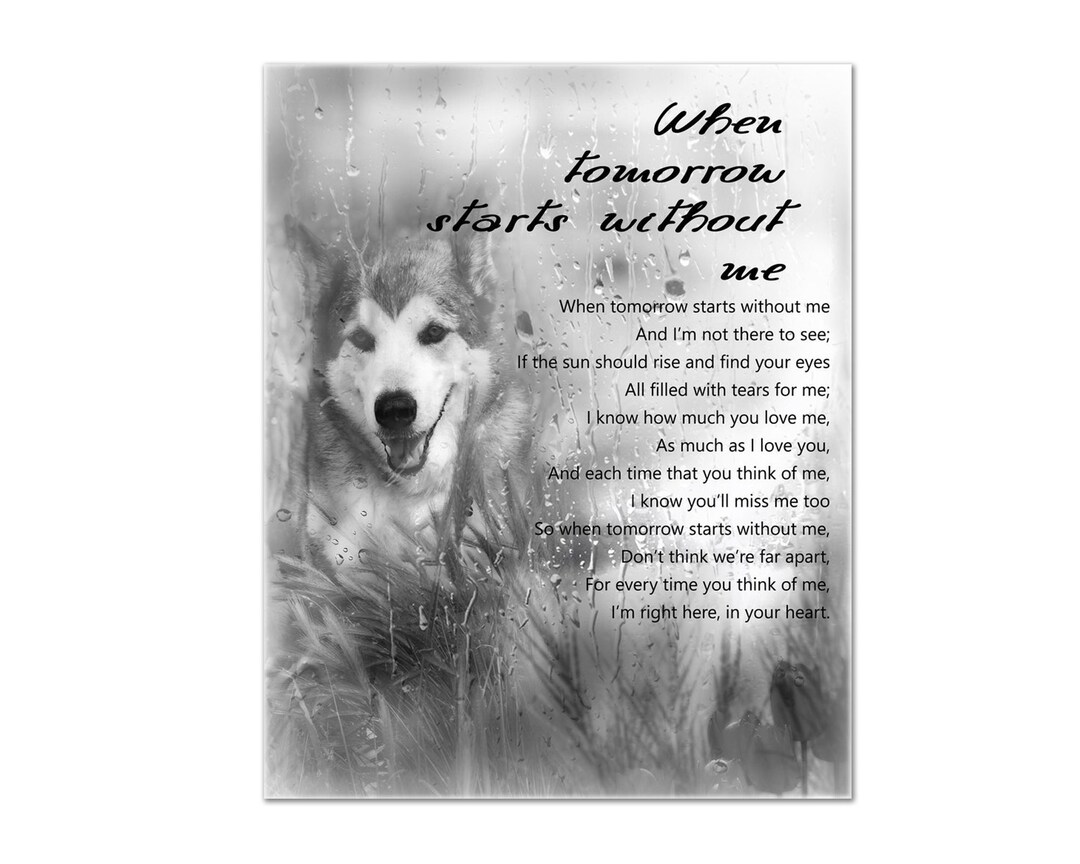 Loss of Pet, When Tomorrow Starts Without Me Poem, Pet Sympathy