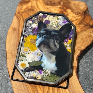 Custom Floral Pet Memorial Frame – Personalized Pet Portrait with Preserved Flowers, Pet Loss Gift, Dog or Cat Remembrance Keepsake