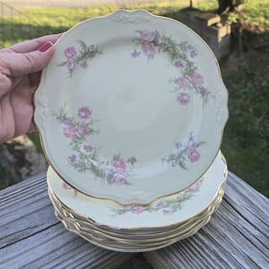 6 Vintage Homer Laughlin 7&quot; Plates Virginia Rose O54 N8