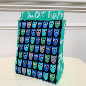 Kids Owl Insulated Lunch Bag, Waterproof, Wipeable Interior, Green, Blue, Lunch Sack