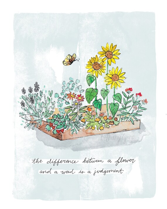 The Difference Between a Flower and a Weed is a Judgement Etsy