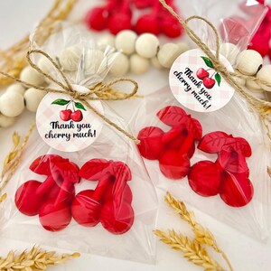 Cherry Soaps - Baby Shower Favors, Birthday Party Decor, She Is The Cherry On Top Bridal Bachelorette Wedding, Fruit Theme Bulk Guest Gifts image 2