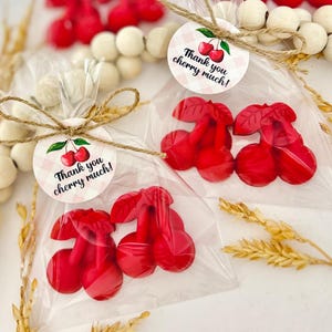 Cherry Soaps - Baby Shower Favors, Birthday Party Decor, She Is The Cherry On Top Bridal Bachelorette Wedding, Fruit Theme Bulk Guest Gifts image 5