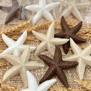 May include: A collection of starfish in various shades of brown and white. The starfish are arranged on a burlap background with wheat stalks.