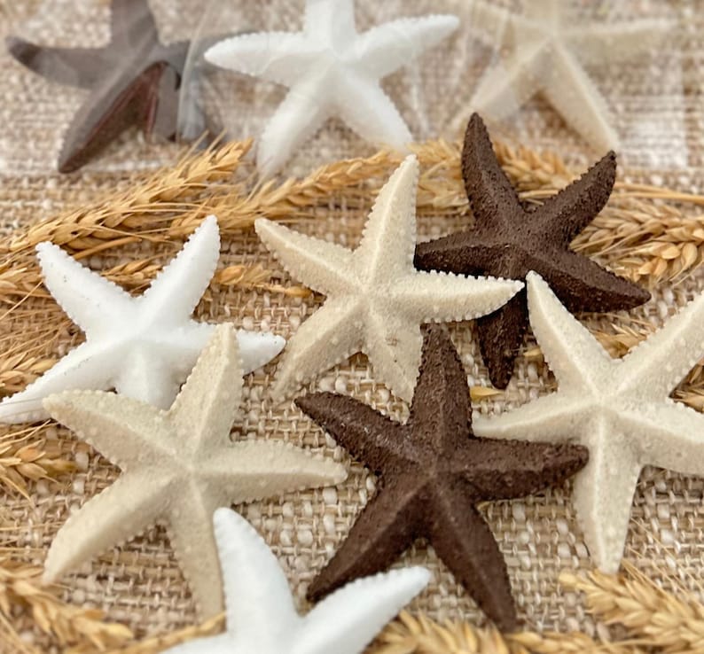 May include: A collection of starfish in various shades of brown and white. The starfish are arranged on a burlap background with wheat stalks.