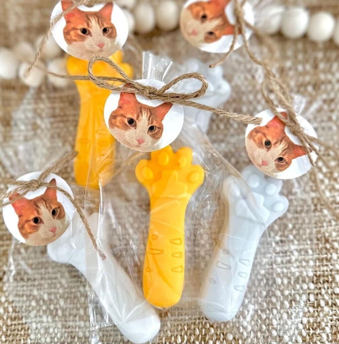 Cat Soap Favors Personalized Birthday Soaps With Your Photo Pet Party