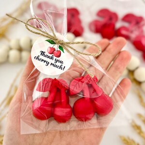 Cherry Soaps - Baby Shower Favors, Birthday Party Decor, She Is The Cherry On Top Bridal Bachelorette Wedding, Fruit Theme Bulk Guest Gifts image 3