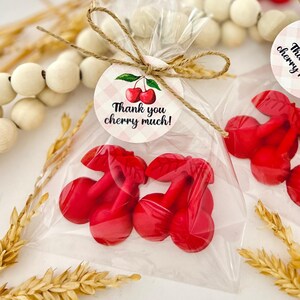 Cherry Soaps - Baby Shower Favors, Birthday Party Decor, She Is The Cherry On Top Bridal Bachelorette Wedding, Fruit Theme Bulk Guest Gifts image 6